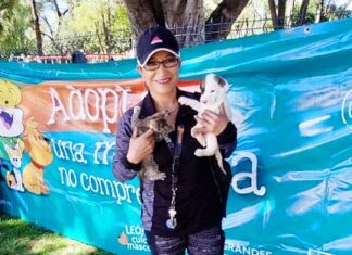 ESTERILIZA CCBA DE LEÓN A 160 MASCOTAS EN UN SOLO DÍA