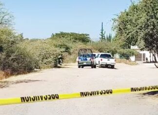 Encuentran el cuerpo sin vida de una persona en un lote baldío en la colonia Los Angeles, en León.