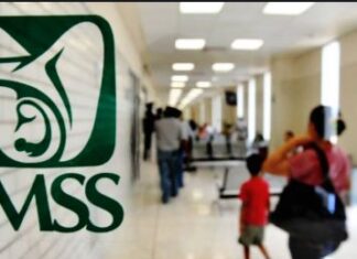Finca IMSS responsabilidades a patronas y patrones por avisos de reingresos o de modificaciones de salarios fuera de lo normado