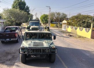 Resultados obtenidos por el Ejército y Fuerza Aérea Mexicanos durante el mes de noviembre de 2022, en el Estado de Guanajuato.
