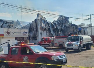 “La SEDENA implementa el Plan DN-III-E en un incendio en el Estado de Guanajuato.»