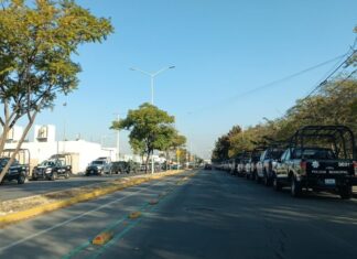 SSCC SOBRE REVISIÓN DE ARMAMENTO