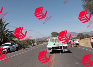 Caballo muere al ser impactado por un auto en Yuriria