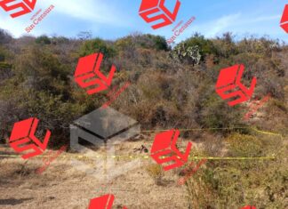 Policía de Yuriria halló los restos de un cuerpo calcinado devorado por jauría de perros