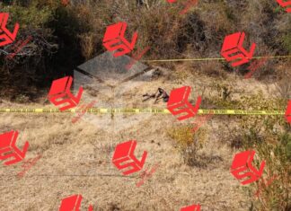 Policía de Yuriria halló los restos de un cuerpo calcinado devorado por jauría de perros