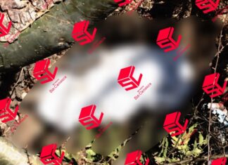 Padre localiza el cadáver de su hijo envuelto en cobijas en Valle de Santiago