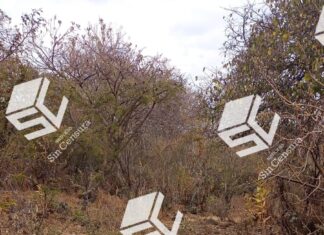 Localizan el cuerpo sin vida en la comunidad de Tejocote en Yuriria.