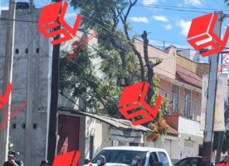 Un hombre murió al ser atropellado en el bulevar Uriangato.