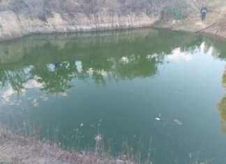 En Metrópolis II encuentran flotando el cadáver de un joven que había sido reportado como desaparecido