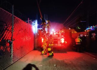 La Secretaría de Seguridad de León salvó la vida de 47 personas en los festejos de Año Nuevo