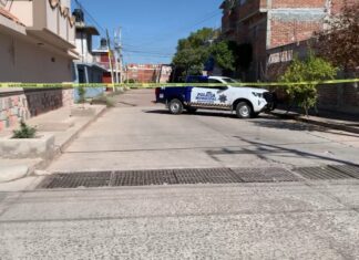 En tres hechos distintos tres mujeres y un hombre fueron asesinados en Salvatierra.