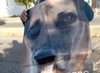 Animalistas denuncian el envenamiemento de perros