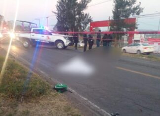 Peatón de 62 años murió arrollado en la carretera