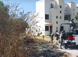 Localizan restos humanos al interior de una maleta en la colonia Villa Albora.