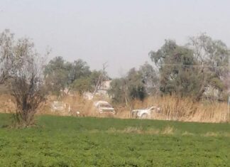 Localizan el cuerpo sin vida de una persona en el camino entre las comunidades de La Luz y Juan Martín en Celaya.