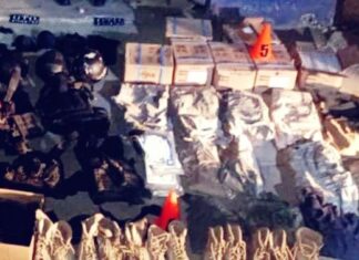 Aseguran un inmueble utilizado como bodega para armas de fuego y equipo táctico, así como vehículos y cartuchos útiles de diversos calibres.