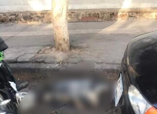 Denuncian habitantes de la comunidad de Cerano en YURIRIA, que gente sin escrúpulos está envenenando a sus perros.