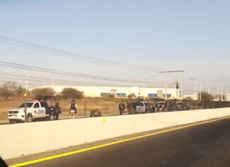 Encuentra restos humanos en bolsas de plástico en la carretera Panamericana en Apaseo El Grande.