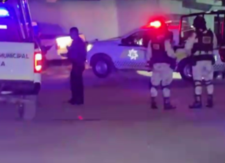 Un hombre murió acuchillado al interior de su domicilio en la colonia Nativitas.