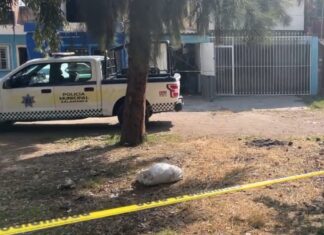 Ejecutan a un hombre en la colonia Constituyentes en Salamanca