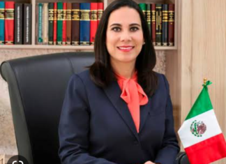 «contraproducente» la difusión de una encuesta con números tan cargados a favor del actual gobierno municipal de Irapuato y de su presidenta «Lorena Alfaro».