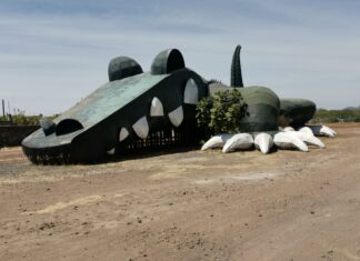 Falso que «cocodrilo» de YURIRIA se vaya a instalar en Valle de Santiago; Salomón Carmona, ex alcalde