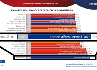 IRAPUATO, EL MUNICIPIO CON MAYOR PERCEPCIÓN DE INSEGURIDAD A NIVEL NACIONAL: MASSIVE CALLER