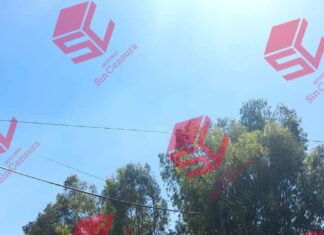 Asesinan a balazos a una mujer en los contenedores de basura, frente al Panteón Municipal en Valle de Santiago.