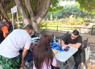 Feria del Empleo Violeta en Salvatierra.