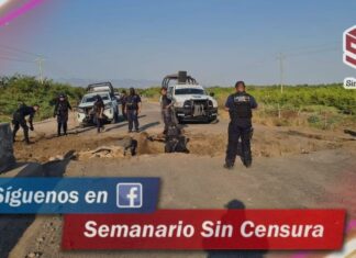 Tras enfrentamiento criminales trozan la carretera e incendian vehículo