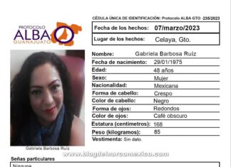 Seis mujeres desaparecidas en una semana en Celaya.