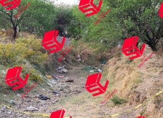 Localizan fosa clandestina en la colonia Acapulquito en Silao.