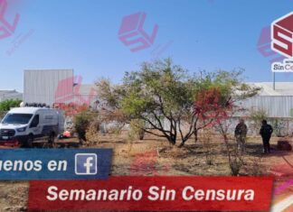 Localizan el cuerpo sin vida de un hombre en la colonia San Pedro de los Hernández en León.