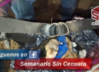 Buscadoras ponen el ejemplo a ministeriales en extracción de restos humanos en fosas de Irapuato.