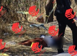 Localizan restos humanos de una persona en bolsa negras en la colonia Santa Gertrudis, en León.