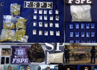 Aseguran las #FSPE en diversos patrullajes a cinco personas en posesión de 231 dosis de drogas.