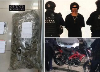 Capturan elementos de las FSPE en el municipio de León, a un hombre en posesión de 5 mil dosis de mariguana.
