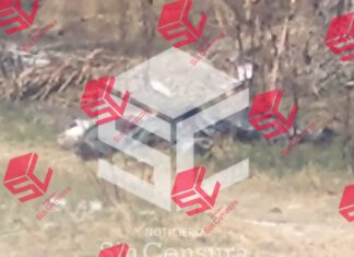 Localizan cadáver de una persona envuelta en bolsas de plástico en Valle de Santiago