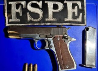 Aseguran las policías FSPE en el municipio de Salamanca, un arma de fuego, cartuchos útiles y una motocicleta.