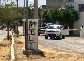 Un hombre fue asesinado a balazos en la colonia Arrayanes en León.