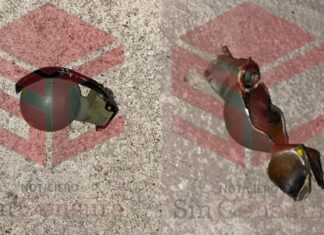 Sujetos desconocidos arrojan dos granadas de fragmentación en una casa en León; no hay detenidos.