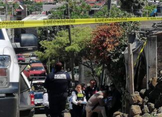 Dentro de un domicilio donde cuidaba a unos niños una mujer fue asesinada