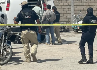 Una mujer murió después de que fue atacada por su mascota, un perro pitbull, en el Fraccionamiento Residencial Santa Elena en Salamanca.