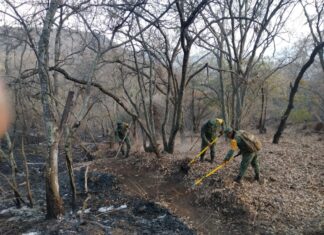 BOMBEROS DE APASEO EL ALTO Y LA DIRECCIÓN DE PROTECCIÓN CIVIL REALIZARON LABORES FINALES EN EL INCENDIO EN EL CERRO SE LA MINA.