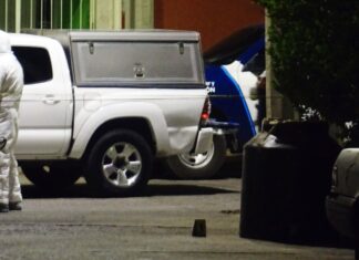 Localizan restos humanos al interior de un tinaco abandonado en la colonia Peñitas, en León.