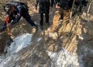 Cinco cuerpos en fosa clandestina de #Zinapécuaro en Mich.