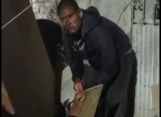 A petición de una madre un sujeto fue detenido cuando se comía a un perro; al parecer padece de sus facultades a consecuencia del consumo de drogas.