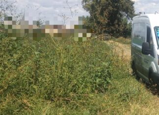 Encuentran el cuerpo sin vida de un hombre en San José del Llano en Apaseo El Grande; presentaba lesiones por impactos de arma de fuego.