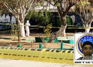 La Fiscalía de Guanajuato acredita el asesinato de otra mujer a «El Color», presunto multihomicida de León.
