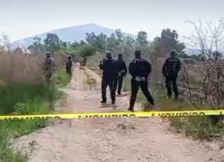 Encuentran el cuerpo sin vida de un hombre en el camino de acceso a la comunidad de El Sapo, en Jaral del Progreso.